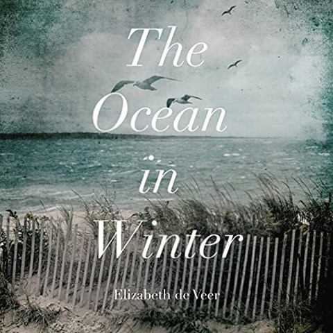THE OCEAN IN WINTER