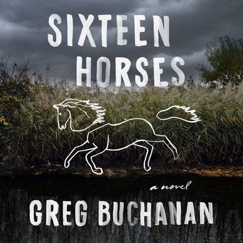 SIXTEEN HORSES