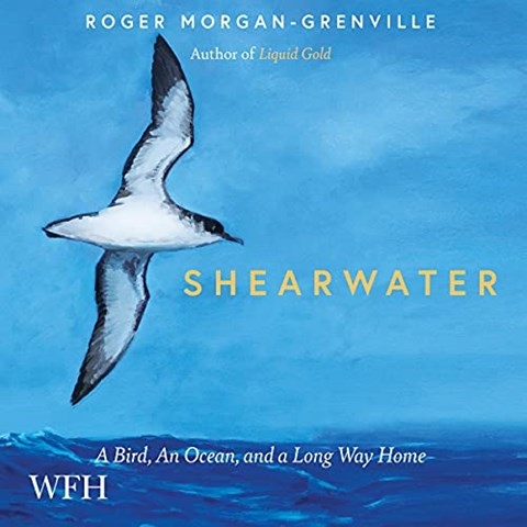 SHEARWATER