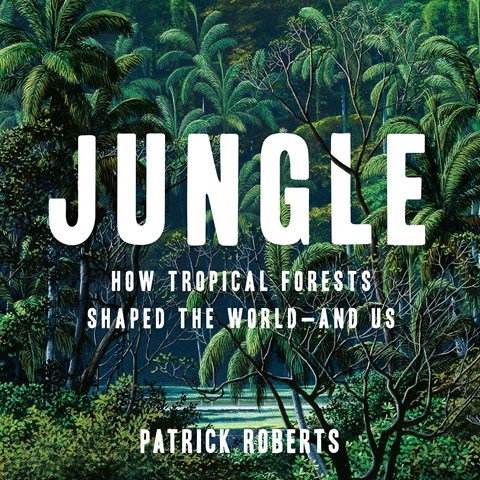 JUNGLE