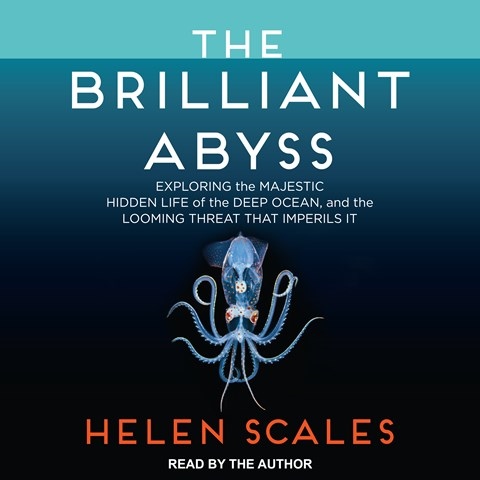 THE BRILLIANT ABYSS