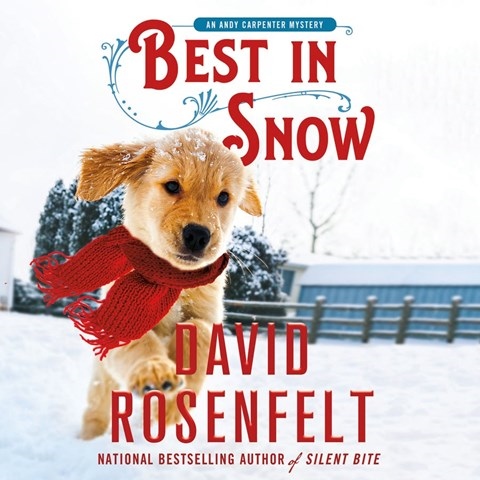 BEST IN SNOW