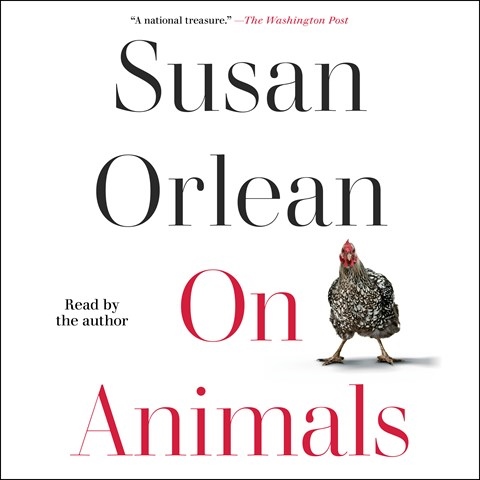 ON ANIMALS