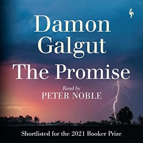 THE PROMISE by Damon Galgut, read by Peter Noble