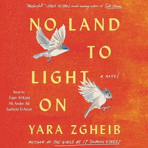 NO LAND TO LIGHT ON