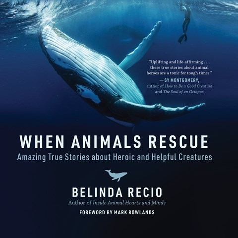 WHEN ANIMALS RESCUE