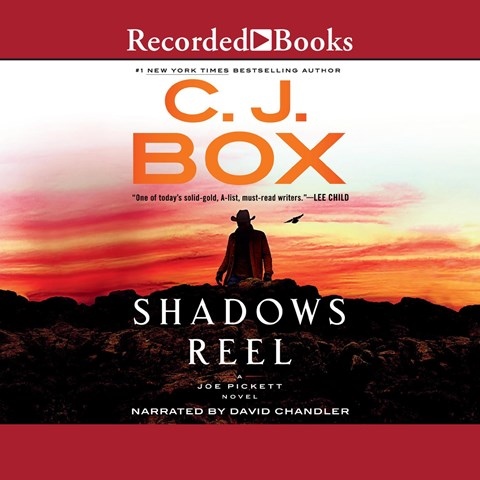 SHADOWS REEL