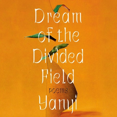 DREAM OF THE DIVIDED FIELD