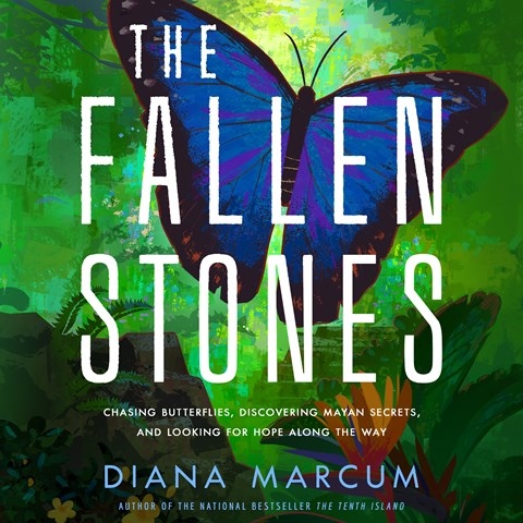 THE FALLEN STONES