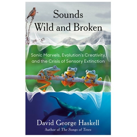SOUNDS WILD AND BROKEN