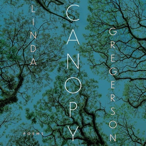 CANOPY