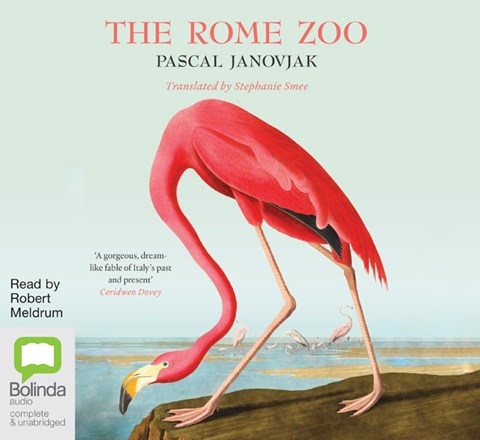 THE ROME ZOO