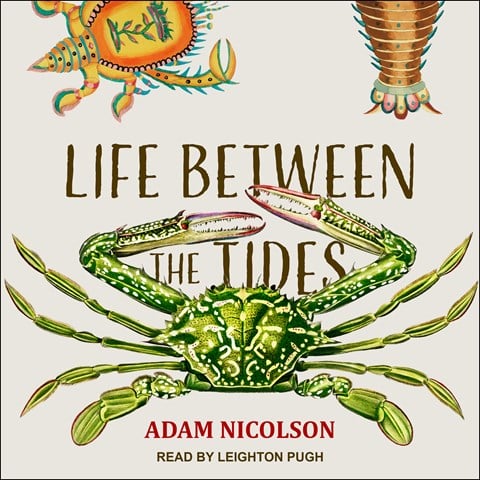 LIFE BETWEEN THE TIDES
