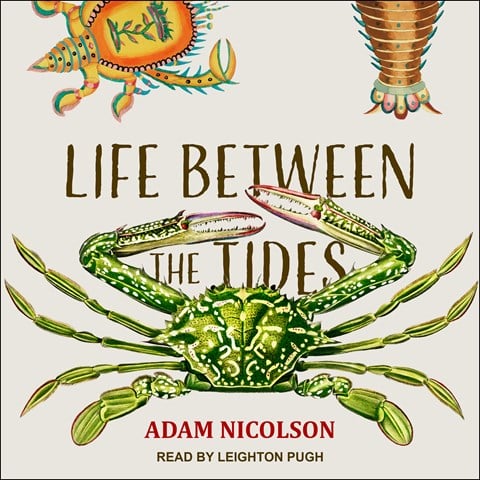 LIFE BETWEEN THE TIDES