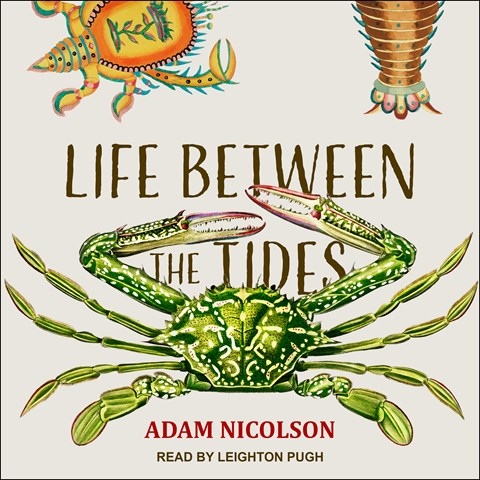 Life Between the Tides