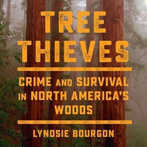 TREE THIEVES