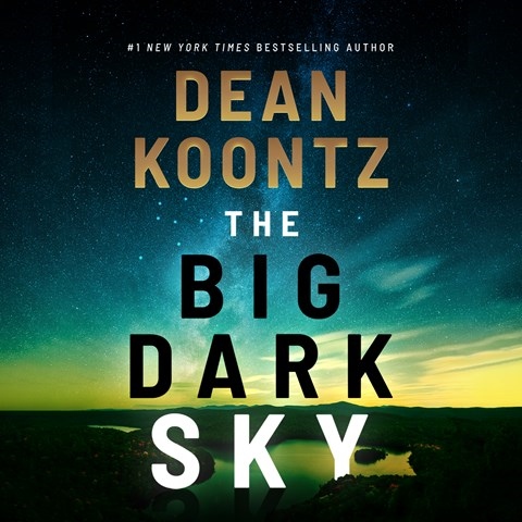 THE BIG DARK SKY