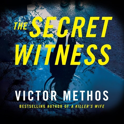 THE SECRET WITNESS