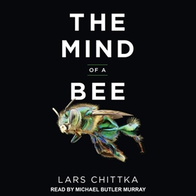 THE MIND OF A BEE