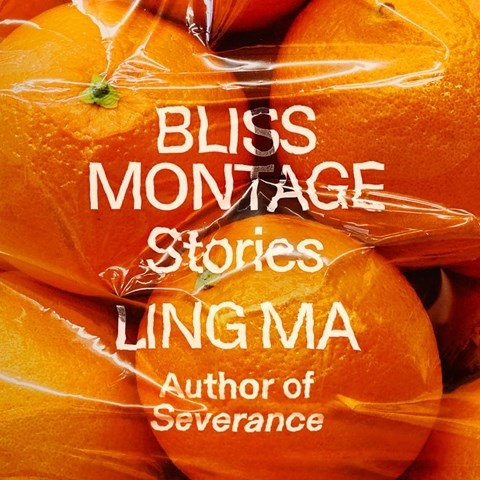 BLISS MONTAGE