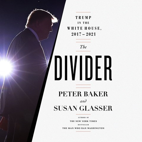 THE DIVIDER