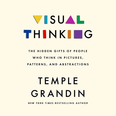 VISUAL THINKING