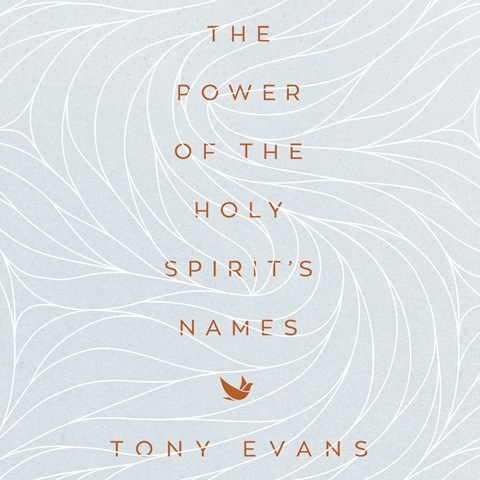THE POWER OF THE HOLY SPIRIT'S NAMES