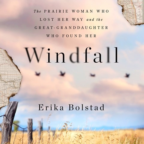 WINDFALL