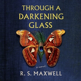THROUGH A DARKENING GLASS
