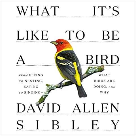 WHAT IT'S LIKE TO BE A BIRD