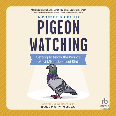 A POCKET GUIDE TO PIGEON WATCHING