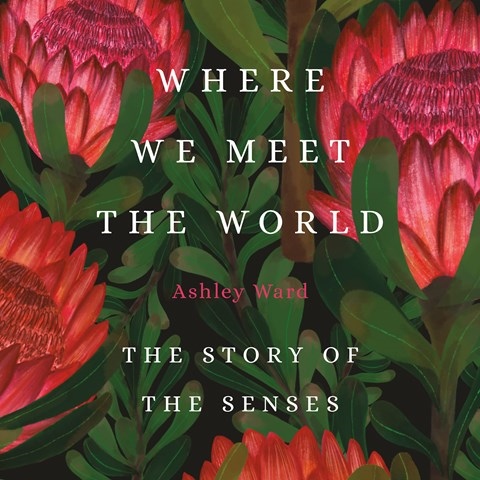 WHERE WE MEET THE WORLD