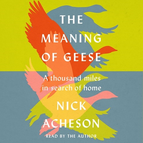 THE MEANING OF GEESE