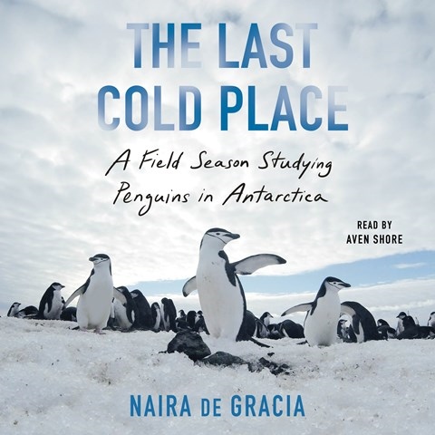 THE LAST COLD PLACE