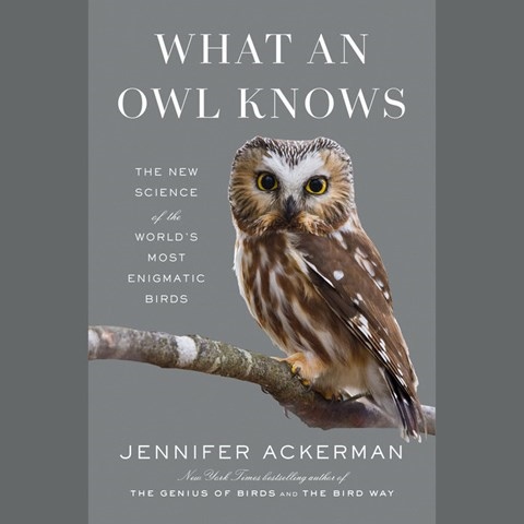 What An Owl Knows