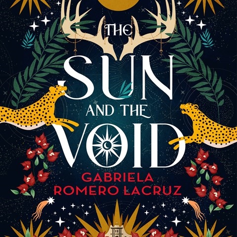 THE SUN AND THE VOID