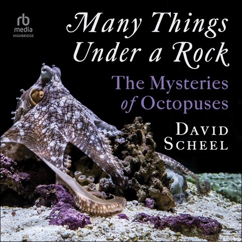 MANY THINGS UNDER A ROCK