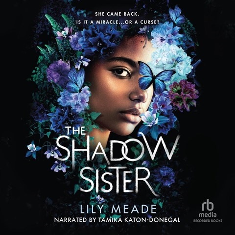 THE SHADOW SISTER