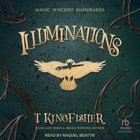 ILLUMINATIONS