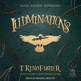ILLUMINATIONS