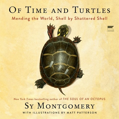 OF TIME AND TURTLES