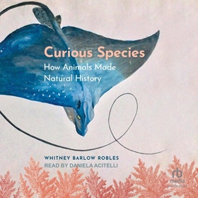 CURIOUS SPECIES
