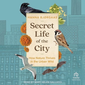 SECRET LIFE OF THE CITY