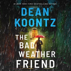 THE BAD WEATHER FRIEND