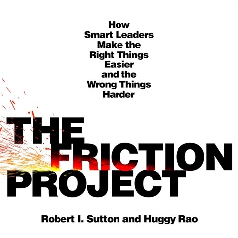 THE FRICTION PROJECT