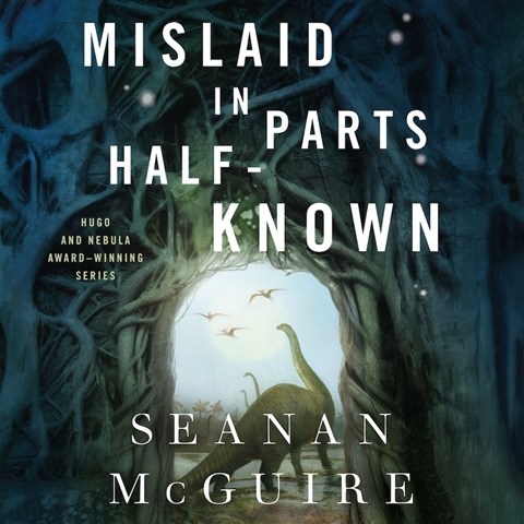 MISLAID IN PARTS HALF-KNOWN