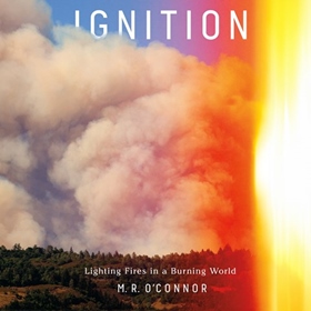 IGNITION