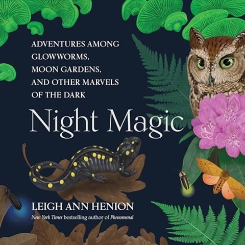 Night Magic