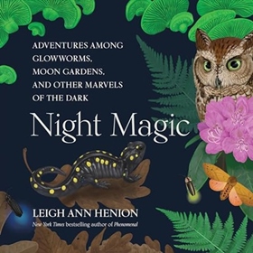 NIGHT MAGIC