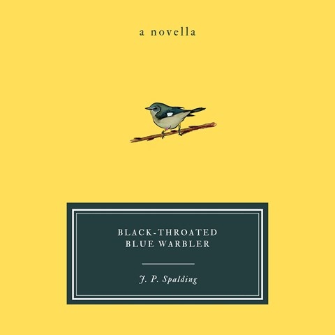 BLACK-THROATED BLUE WARBLER